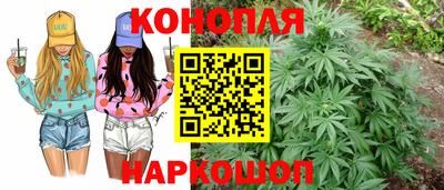 ГАЛЛЮЦИНОГЕННЫЕ ГРИБЫ Брянск
