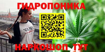 ГАЛЛЮЦИНОГЕННЫЕ ГРИБЫ Брянск