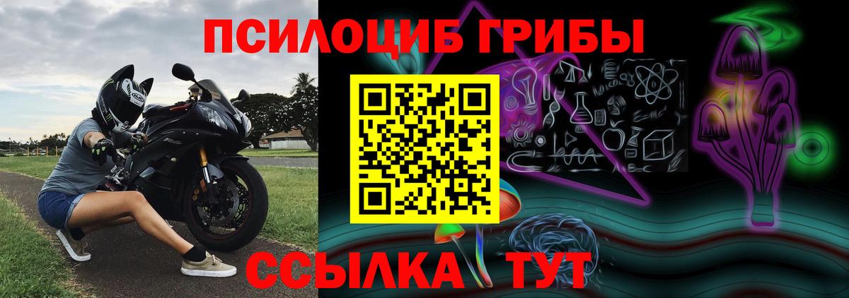 где найти наркотики  Вход с VPN  Кудымкар  Псилоцибиновые грибы Psilocybine cubensis  Псилоцибиновые грибы GOLDEN TEACHER 